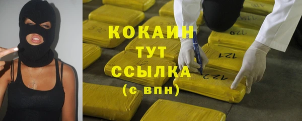 кокс Алексин