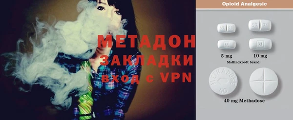 гидра Инта