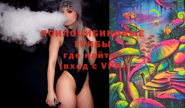сатива Алексеевка