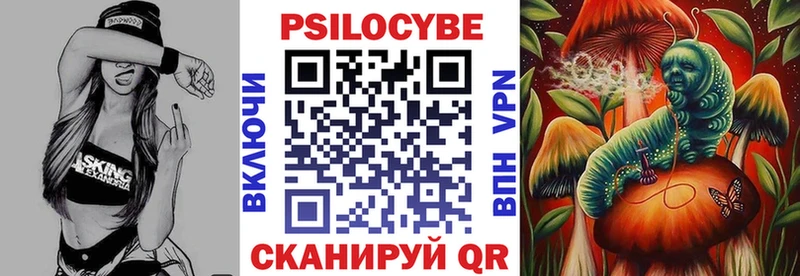 Псилоцибиновые грибы Psilocybe  даркнет сайт  Выкса 