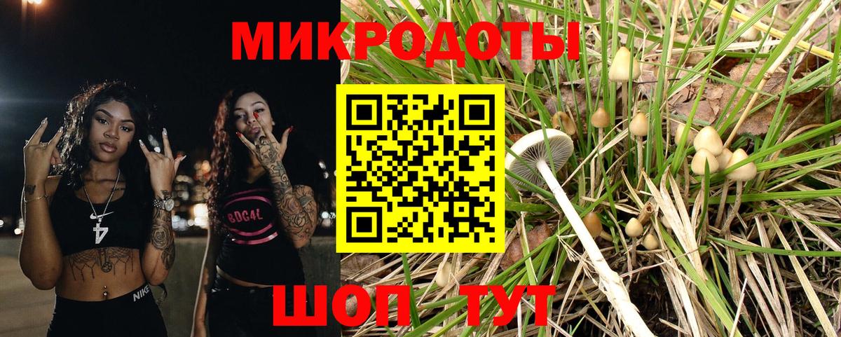 Галлюциногенные грибы мухоморы Выкса