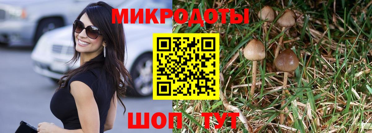 Выкса  Галлюциногенные грибы GOLDEN TEACHER  Вход с VPN  Псилоцибиновые грибы Psilocybine cubensis 